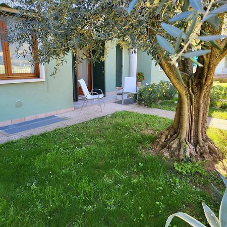 La Casa Sul Parco Apartment Valeggio sul Mincio Ngoại thất bức ảnh